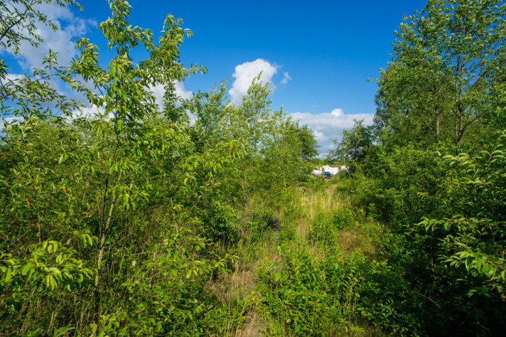 Działka Sprzedaż Rurzyca 7