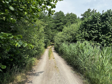 Działka Sprzedaż Linówko