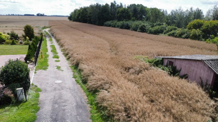 Działka Sprzedaż Warnice 7