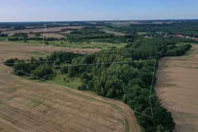 Działka Sprzedaż Prusinowo