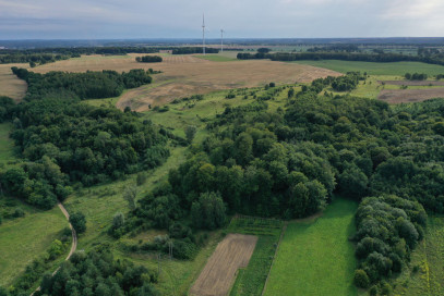 Działka Sprzedaż Prusinowo