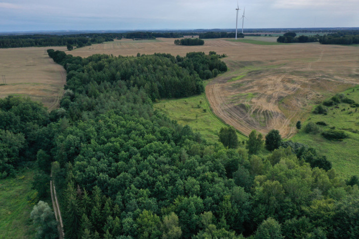 Działka Sprzedaż Prusinowo 1