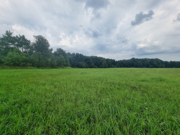 Dom Sprzedaż Wierzchówko