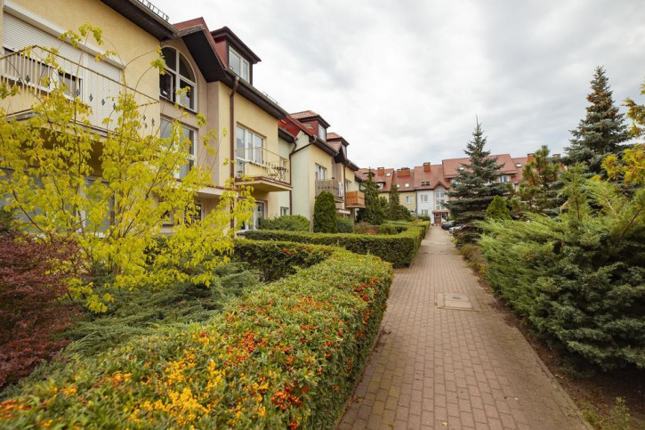 Mieszkanie Wynajem  Pogodno II Horeszków 2
