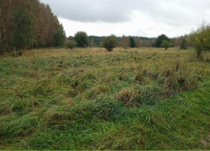 Działka Sprzedaż Stary Kraków 2