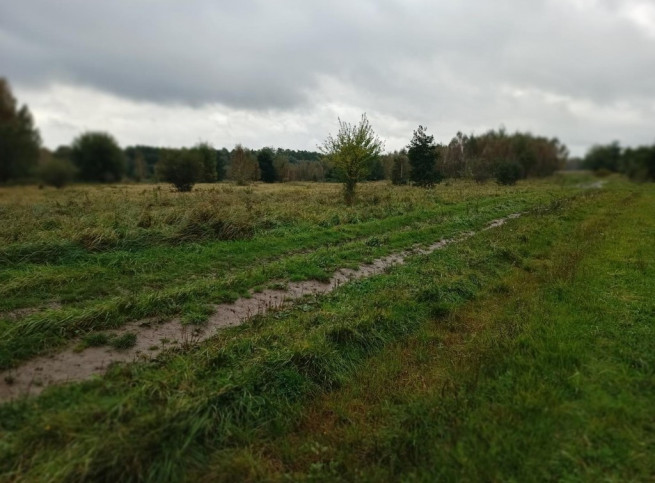 Działka Sprzedaż Stary Kraków 4