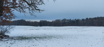 Działka Sprzedaż Budzieszowce