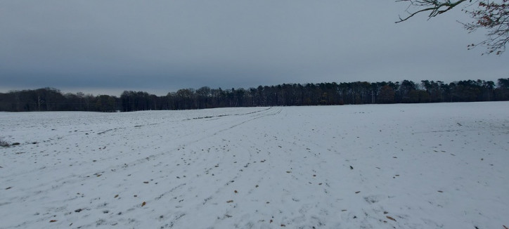 Działka Sprzedaż Budzieszowce 3