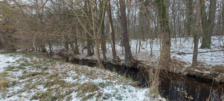 Działka Sprzedaż Budzieszowce 3