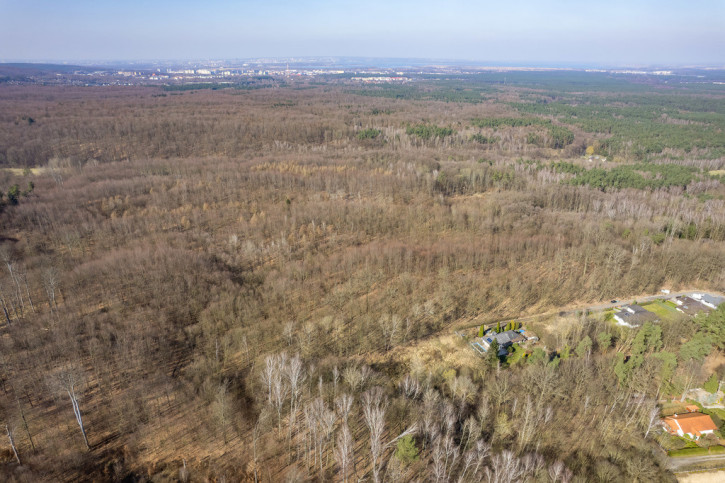 Działka Sprzedaż Szczecin Płonia 5