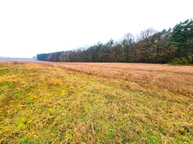 Działka Sprzedaż Żarowo Polna 1