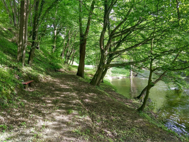 Działka Sprzedaż Barnimie 6