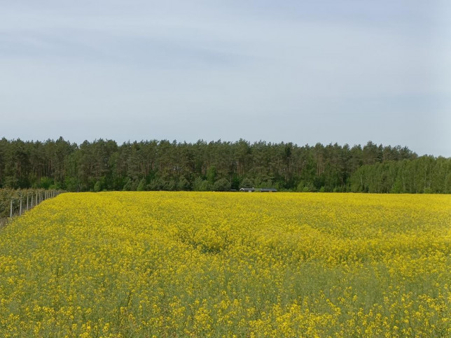 Działka Sprzedaż Stawno 6