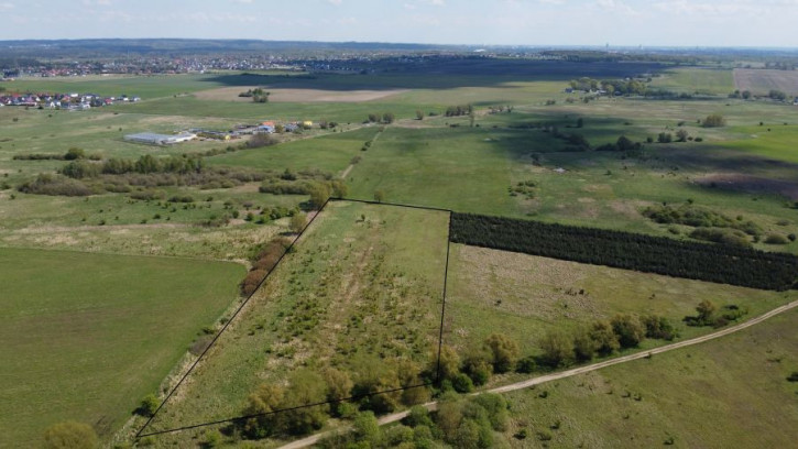 Działka Sprzedaż Wąwelnica 5