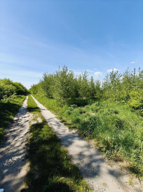 Działka Sprzedaż Goleniów