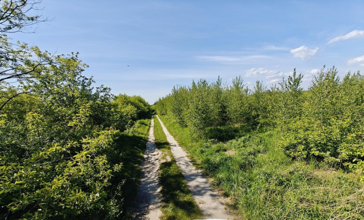 Działka Sprzedaż Goleniów 10