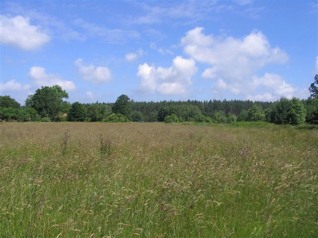 Działka Sprzedaż Kodrąbek 3