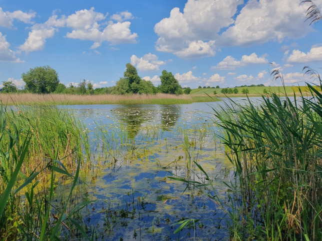 Działka Sprzedaż Zieleniewo 2