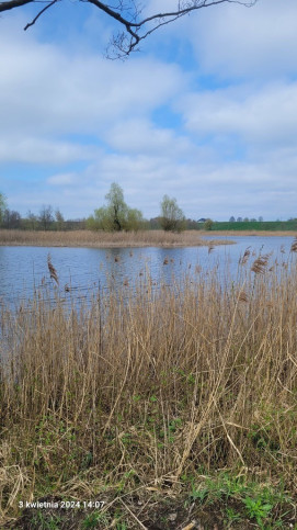 Działka Sprzedaż Zieleniewo 7