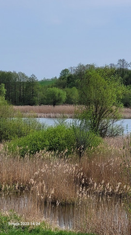 Działka Sprzedaż Zieleniewo 7