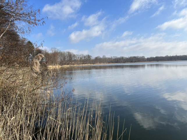 Działka Sprzedaż Choszczno 1