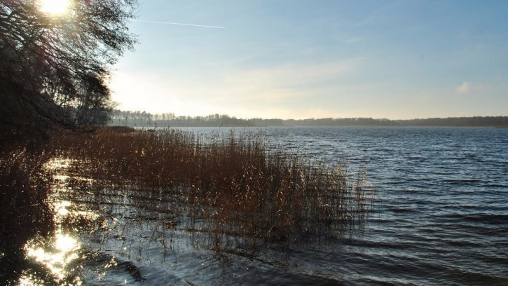 Działka Sprzedaż Wełtyń Wirowska 3