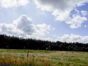 Działka Sprzedaż Nowogard