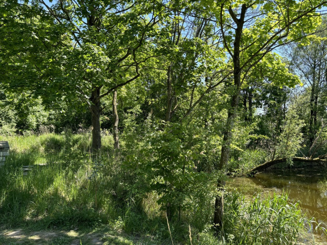 Działka Sprzedaż Szczecin Warszewo Kredowa 3