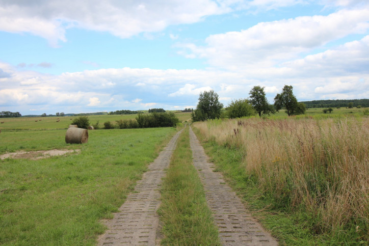 Działka Sprzedaż Biała 4