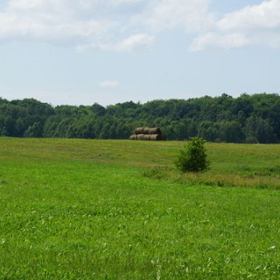 SPRZEDAŻ na DZIAŁKA w BOBOLICE